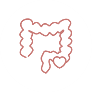 site-nutrimarcelarocha-modulacao-intestinal6