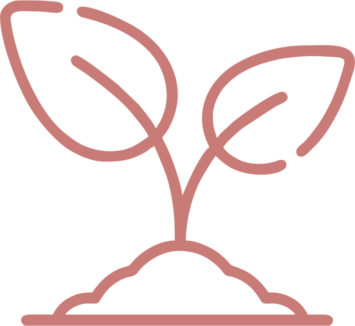 site-nutrimarcelarocha-sobre-mim6