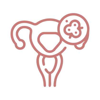ambiente-uterino-nutrimarcelarocha