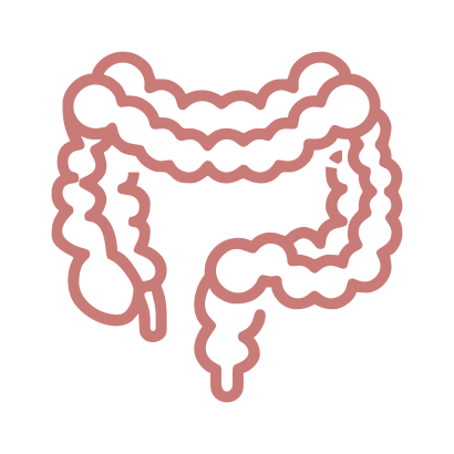 modulação-intestinal-nutrimarcelarocha